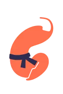 Shrimp logo